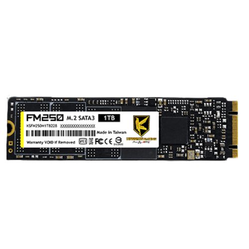 AITC FM250 M.2 SATA SSD2242 1TB