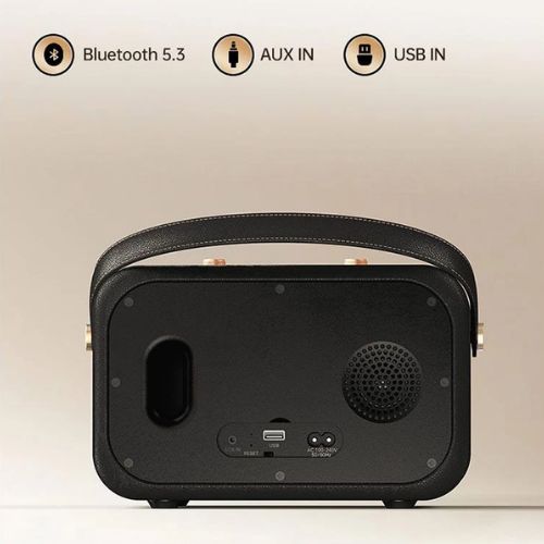 F&D RW40 40W Portable Bluetooth Speaker