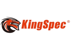KingSpec