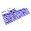 Rapoo V500 PRO Backlit USB Mechanical Gaming Keyboard Purple