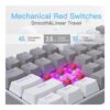 Redragon K617 Fizz Rgb Mechanical Gaming Keyboard