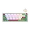 Royal Kludge RK R65 RGB Hotswappable Mechanical Keyboard